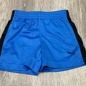 Baby Boys Puma Shorts Blue Black 12 month J42
